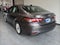 2020 Toyota Camry XLE V6